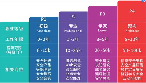網絡安全綜合實戰(zhàn) 打造網絡與信息安全軟件開發(fā)能力